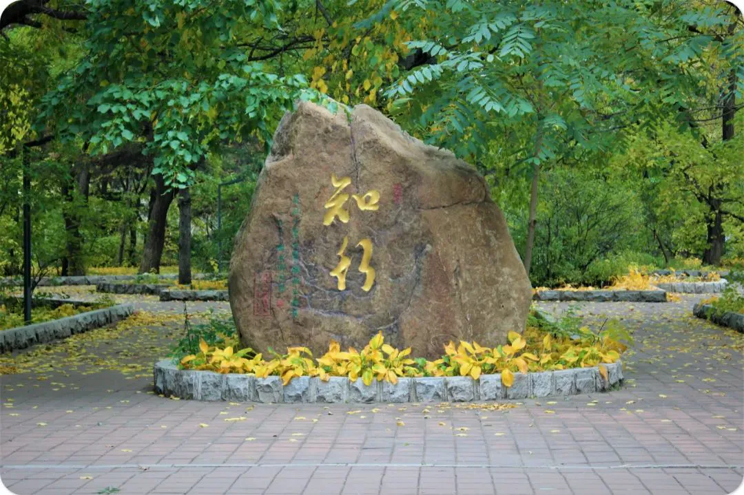 儿童如何在游戏中学习篮球技术_2